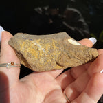 Load image into Gallery viewer, Boulder Opal - Ruby's Minerals