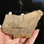 Load image into Gallery viewer, Boulder Opal - Ruby's Minerals