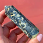 Load image into Gallery viewer, Kambaba Jasper Point