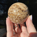 Load image into Gallery viewer, Chocolate Calcite Sphere - Ruby's Minerals