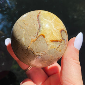 Dragon Septarian Sphere - Ruby's Minerals