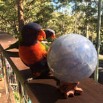 Load image into Gallery viewer, Rosewood Sphere Stand - Ruby's Minerals