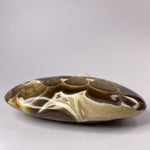 Load image into Gallery viewer, Chocolate Calcite Palm - Ruby&#39;s Minerals
