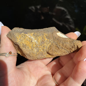 Boulder Opal - Ruby's Minerals