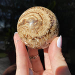 Load image into Gallery viewer, Chocolate Calcite Sphere - Ruby&#39;s Minerals

