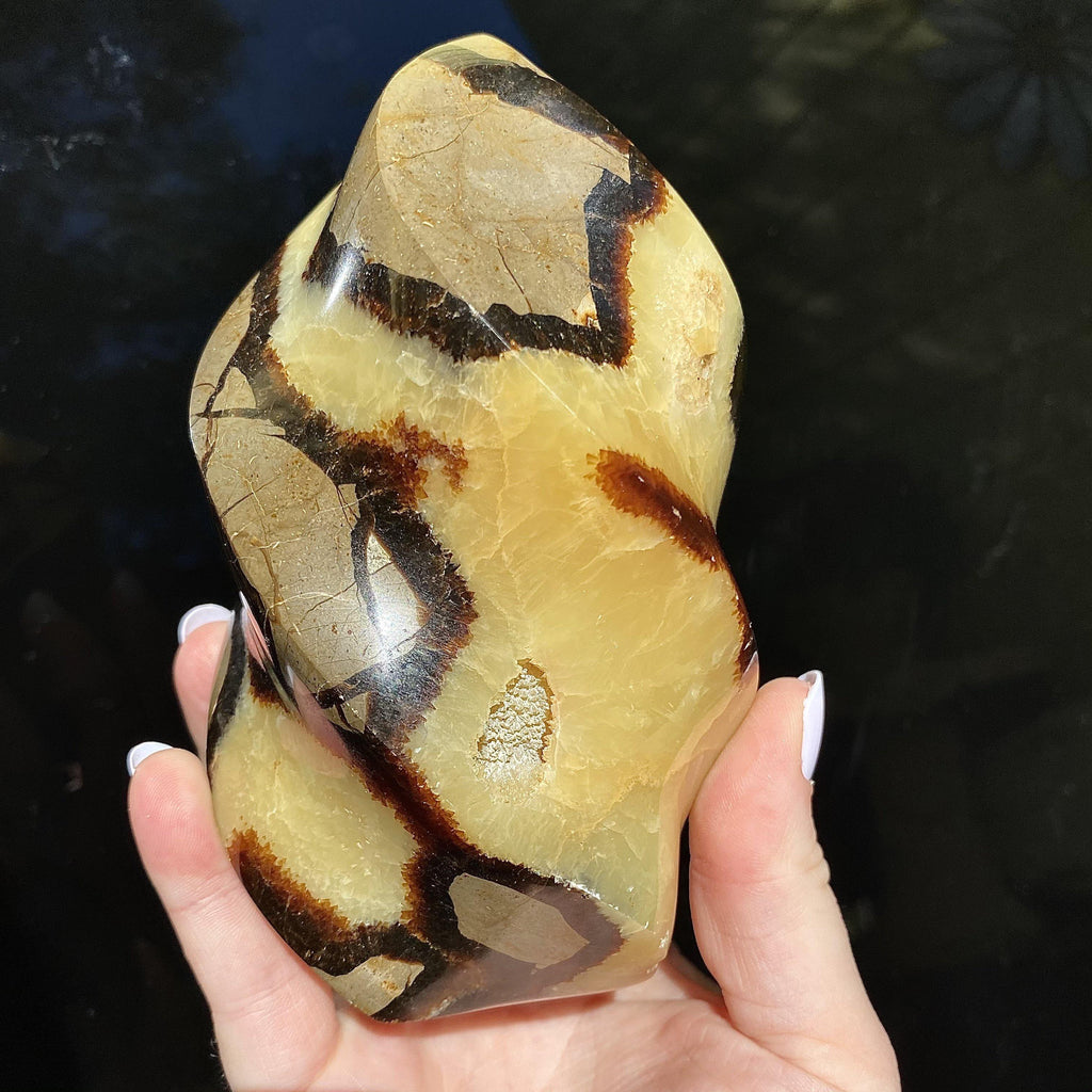 Dragon Septarian Flame - Ruby's Minerals