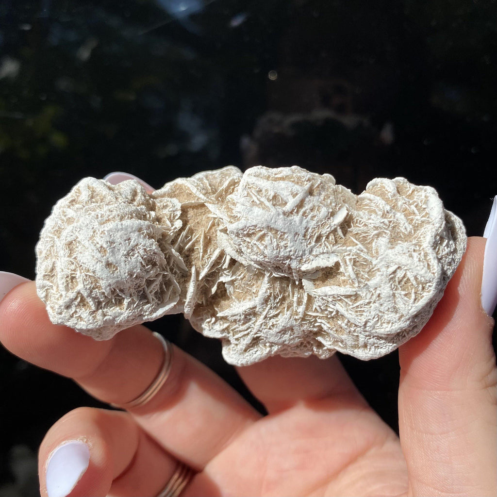 Desert Rose - Ruby's Minerals