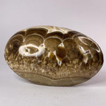 Load image into Gallery viewer, Chocolate Calcite Palm - Ruby&#39;s Minerals
