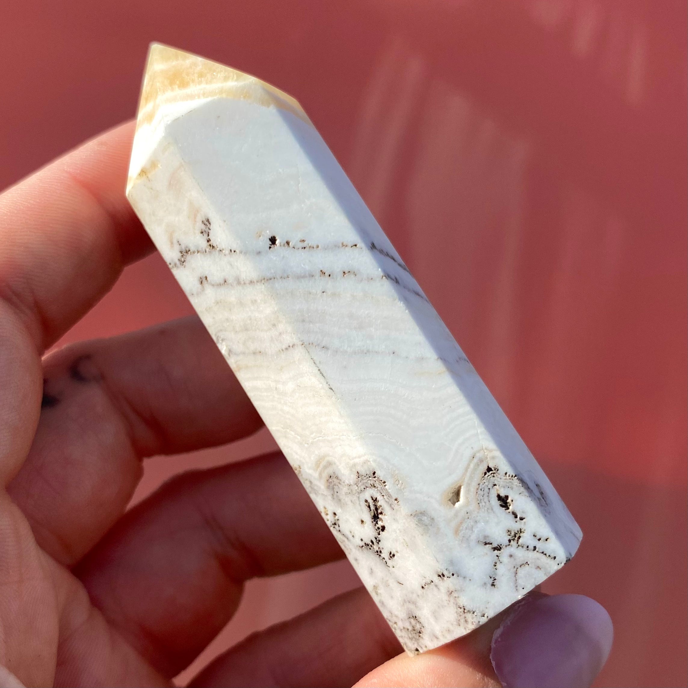 Dendritic Calcite Point