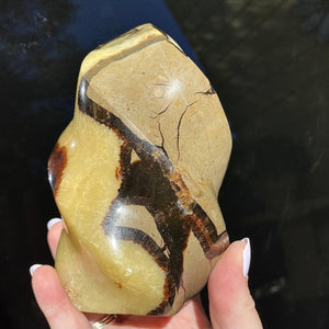 Dragon Septarian Flame - Ruby's Minerals