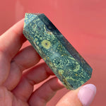 Load image into Gallery viewer, Kambaba Jasper Point
