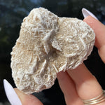 Load image into Gallery viewer, Desert Rose - Ruby&#39;s Minerals
