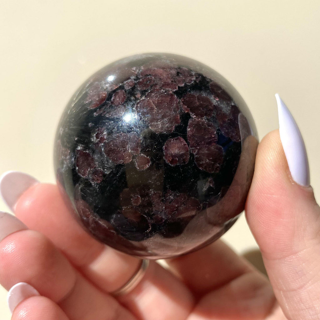 Eudialyte in Arfvedsonite Sphere - Ruby's Minerals