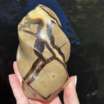 Load image into Gallery viewer, Dragon Septarian Flame - Ruby&#39;s Minerals
