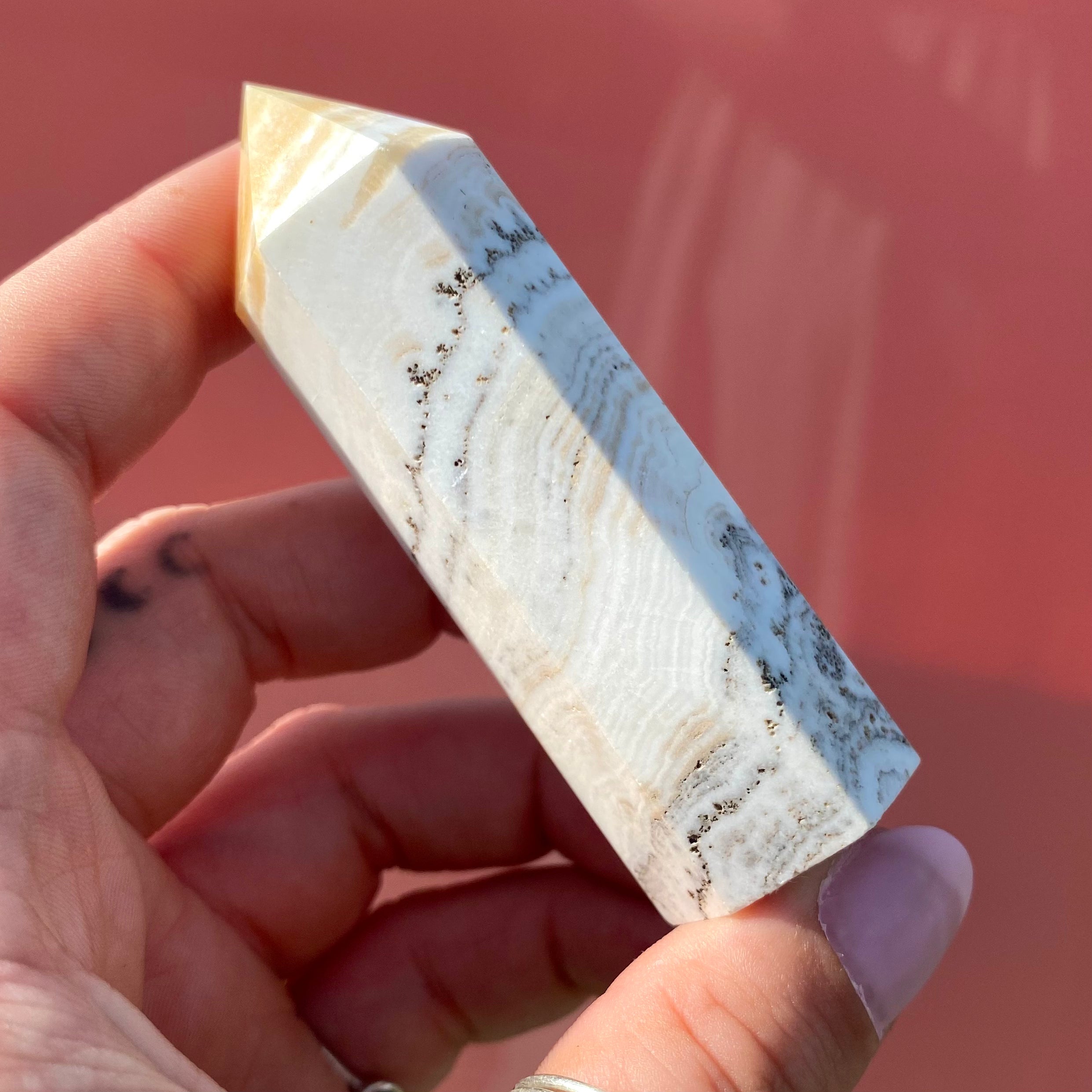 Dendritic Calcite Point