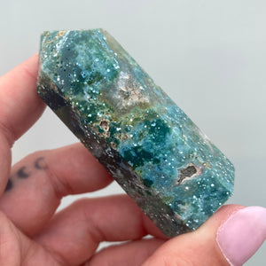 Ocean Jasper Point