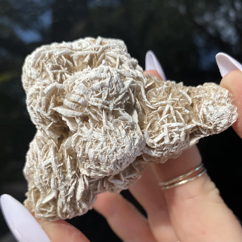 Desert Rose - Ruby's Minerals