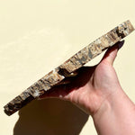 Load image into Gallery viewer, Petrified Wood Slab - Ruby&#39;s Minerals

