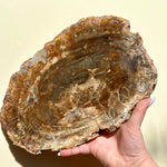 Load image into Gallery viewer, Petrified Wood Slab - Ruby&#39;s Minerals
