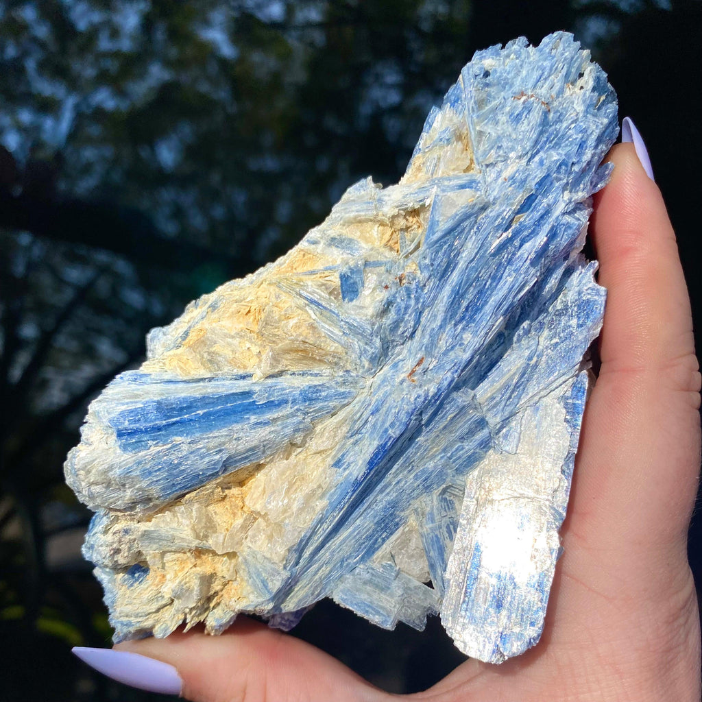 Blue Kyanite - Ruby's Minerals