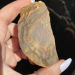 Load image into Gallery viewer, Boulder Opal - Ruby&#39;s Minerals
