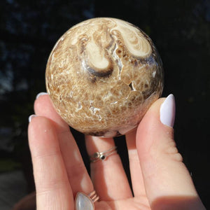 Chocolate Calcite Sphere - Ruby's Minerals