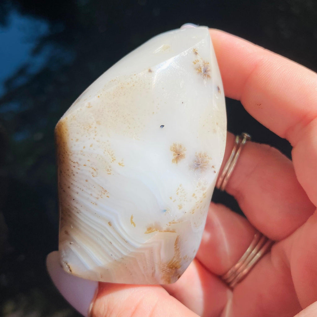 Dendritic Agate Flame - Ruby's Minerals