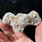 Load image into Gallery viewer, Desert Rose - Ruby&#39;s Minerals

