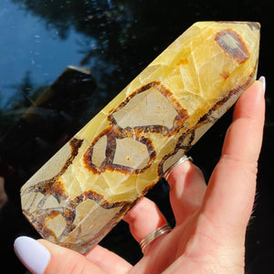 Dragon Septarian Tower - Ruby's Minerals
