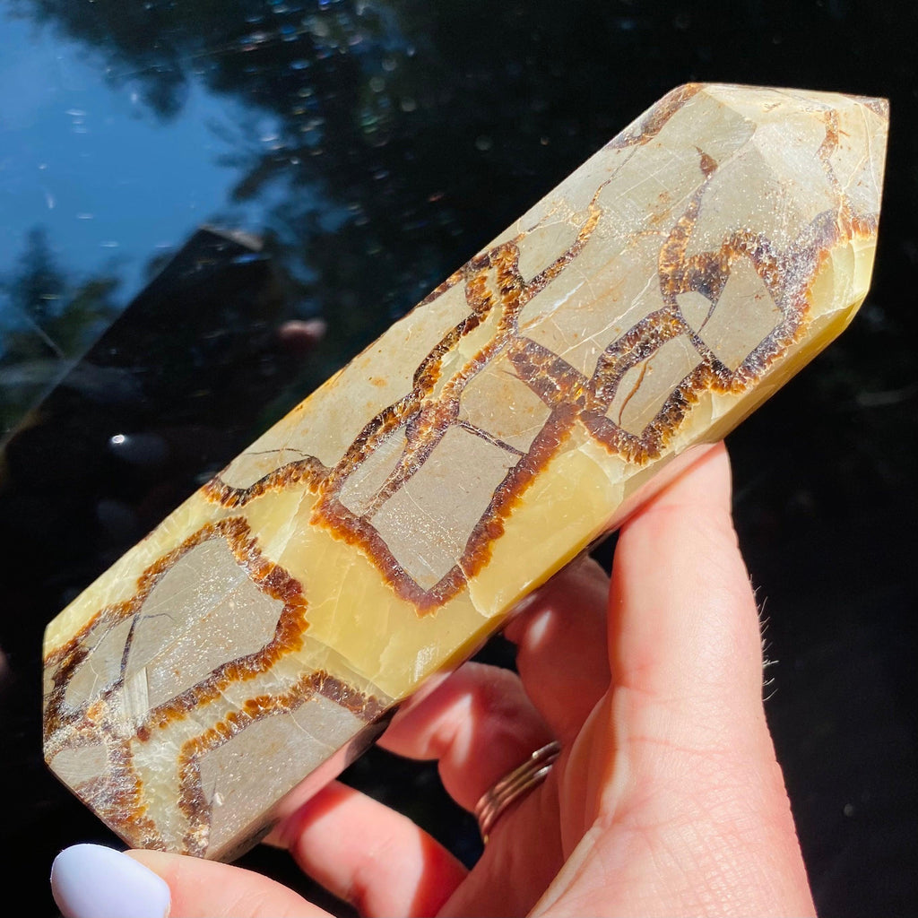 Dragon Septarian Tower - Ruby's Minerals