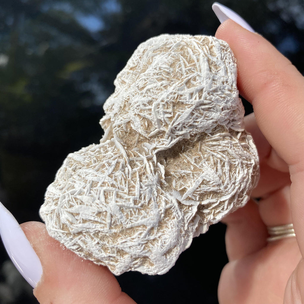 Desert Rose - Ruby's Minerals