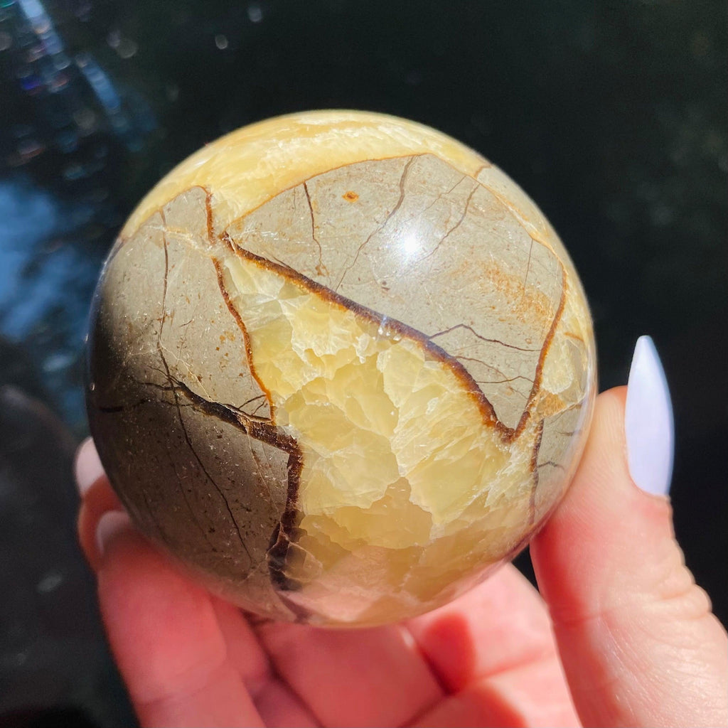 Dragon Septarian Sphere - Ruby's Minerals