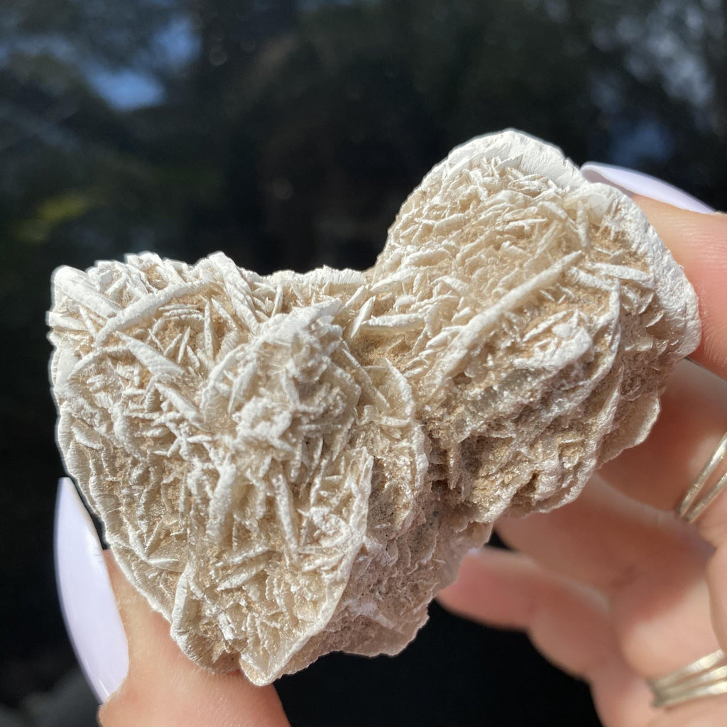 Desert Rose - Ruby's Minerals