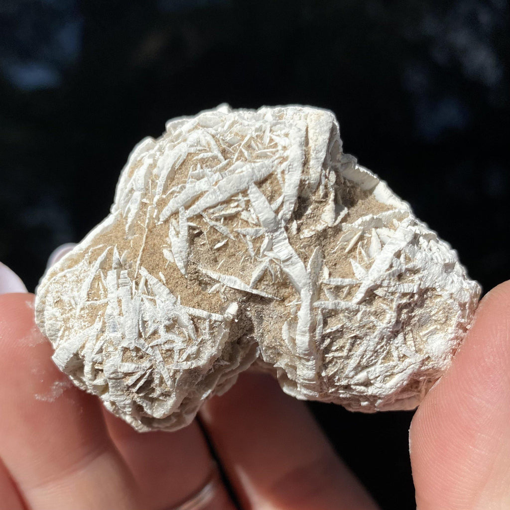 Desert Rose - Ruby's Minerals